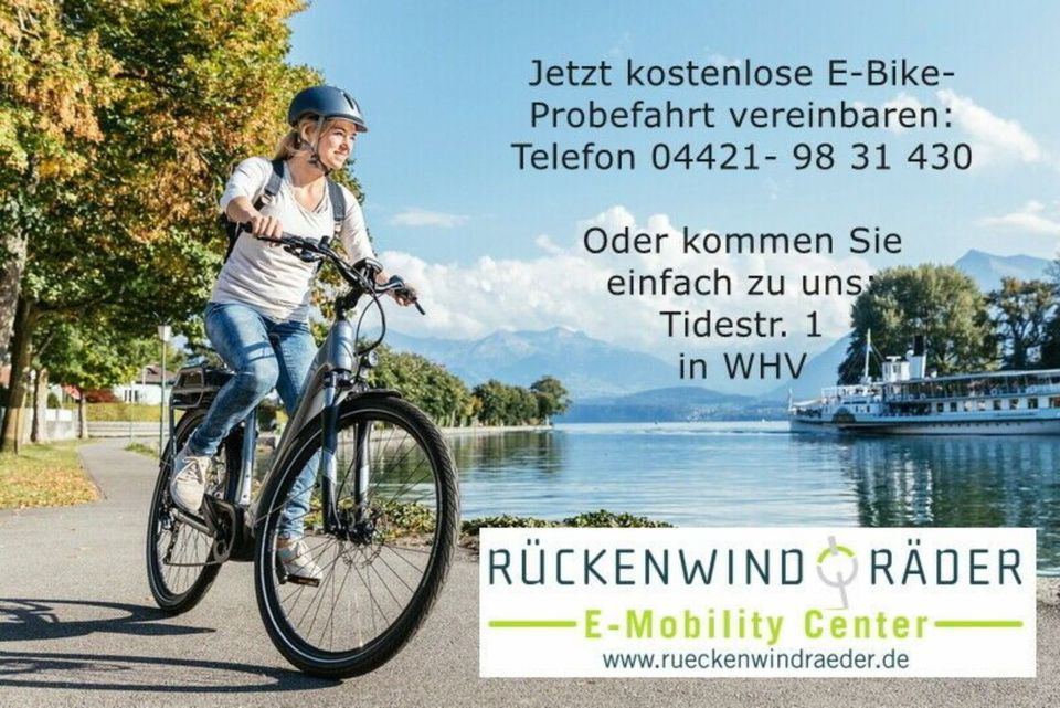 Trekking-E-Bike Flyer Upstreet3 - gutes Gebrauchtes! in Wilhelmshaven