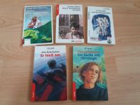 Diverse Jugendbücher z.B. von Korschunow Sachsen - Riesa Vorschau