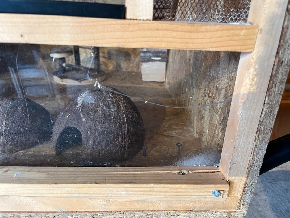 Hamsterkäfig / Käfig für Kleintiere in Fuhlenhagen