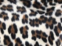 Animalprint - Toller fellähnlicher Schal im Leopardenmuster Niedersachsen - Osnabrück Vorschau