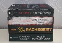 Bücherpaket Thriller/ Krimis Schleswig-Holstein - Neuenkirchen Vorschau