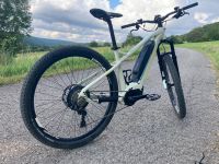 E-Bike Mountainbike Flyer Uproc 2 4.10 Bayern - Wartmannsroth Vorschau