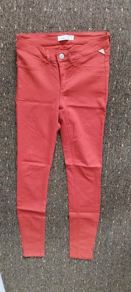 Damen Hose gr S in Zeitz