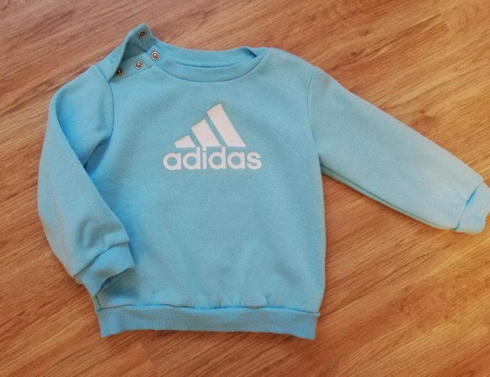 Adidas Pulli Hose Jogginganzug Gr. 80 in Waldweiler