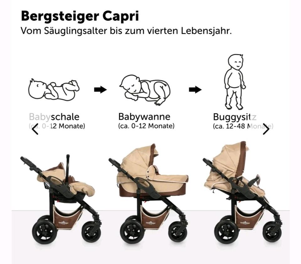 Kombi-Kinderwagen 0-48 Monate Buggy Babyschale Bergsteiger in Hamburg