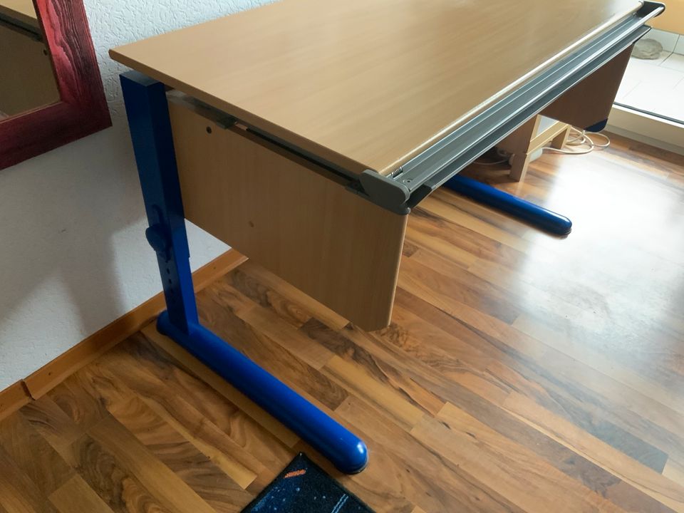 Moll - Schreibtisch + Rollcontainer in Haßloch