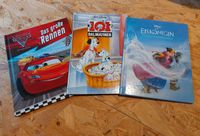 Disney Die Eiskönigin + Cars + 101 Dalmatiner Niedersachsen - Scheden Vorschau