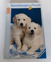 500 Teile Puzzle Ravensburger 142385 Knopfaugen Golden Retriever Bayern - Gochsheim Vorschau