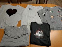 5 Pulli, H&M, Grösse 170, Sachsen - Zwickau Vorschau