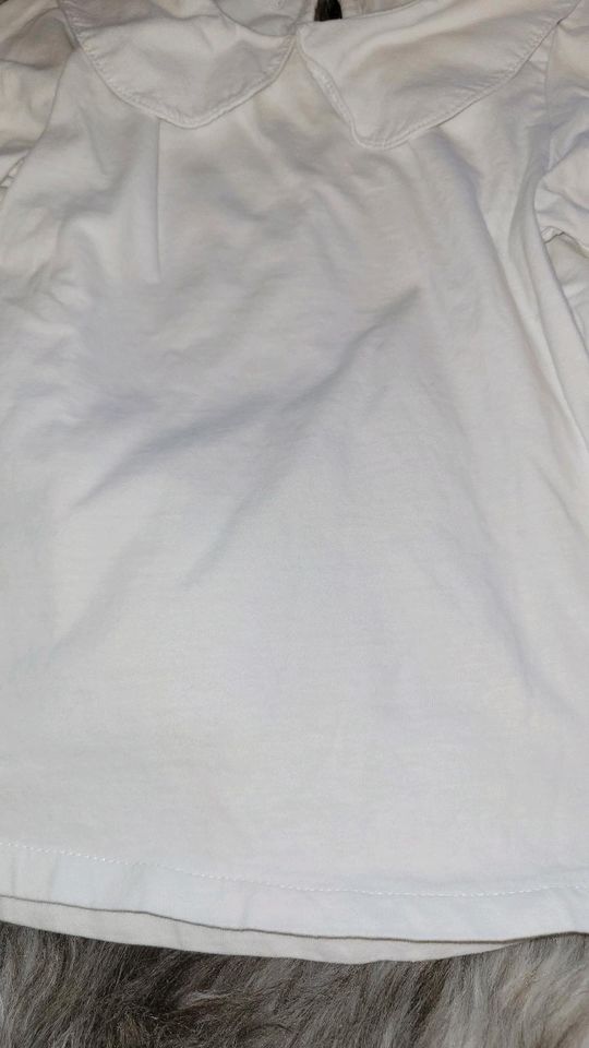 Shirt Zara Größe 116 in Bentzin