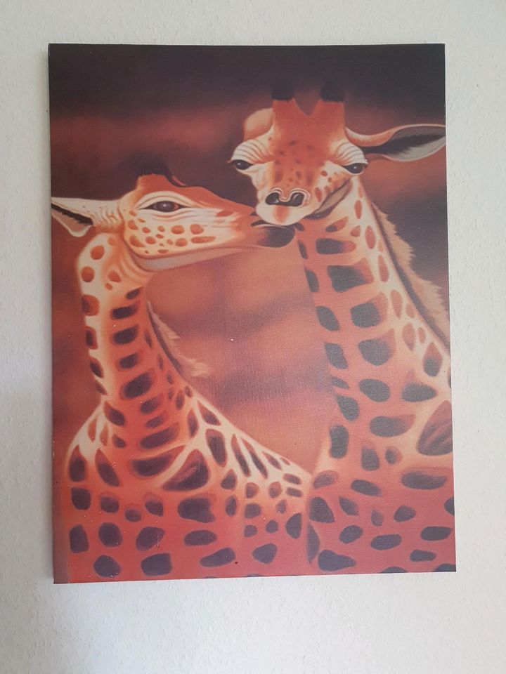 Leinwand Bild Giraffen in Stolzenau
