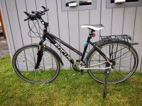 Trekkingbike, Focus black stone, limetet Edition, Damenfahrrad, M Niedersachsen - Langelsheim Vorschau