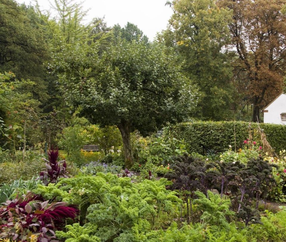 Kleingarten, Garten, Heckengrundstück in Hessen Lauterbach (Hessen