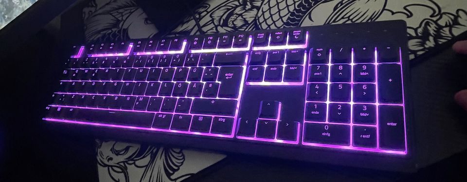 Gaming tastatur von Razer (mit LED) in Neutraubling