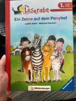 Ein Zebra auf dem Ponyhof Schleswig-Holstein - Boostedt Vorschau