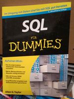 SQL für Dummies, 5. Auflage Brandenburg - Baruth / Mark Vorschau