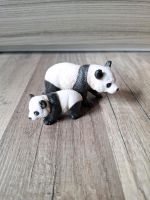 Schleich - Pandas Niedersachsen - Cremlingen Vorschau