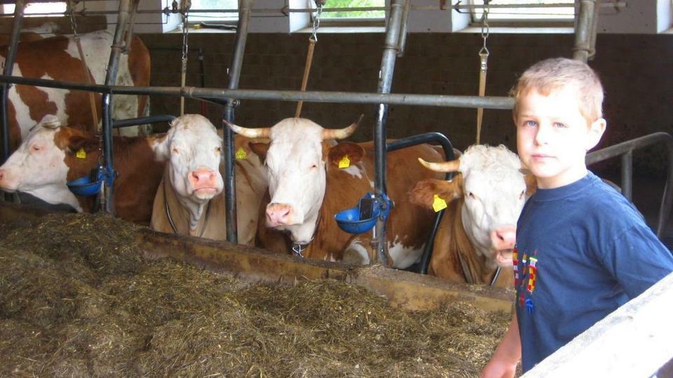 Familienurlaub am Bauernhof in Bayern Ferienwohnung Bayer. Wald in Teisnach