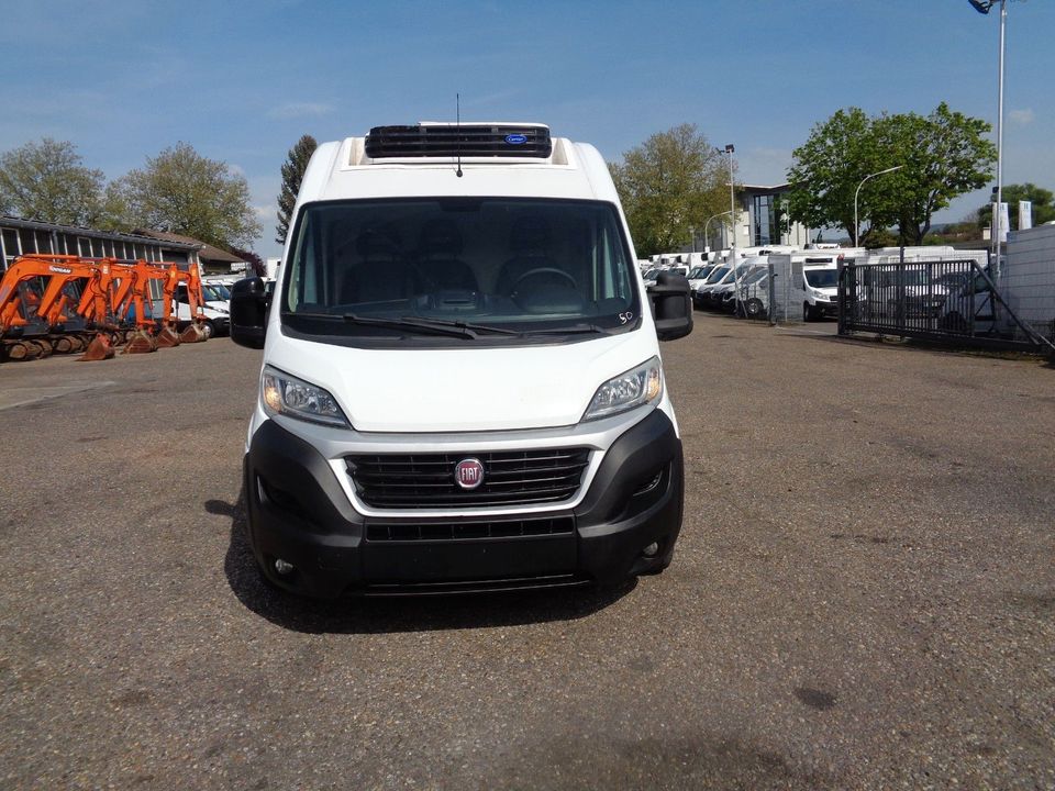 Fiat Ducato 130*Carrier Tiefkühler*Euro6*Klima* in Heilbronn