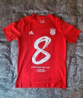 FC Bayern, Fan T-Shirt, Größe 164, rot, Adidas Leipzig - Schönefeld-Abtnaundorf Vorschau