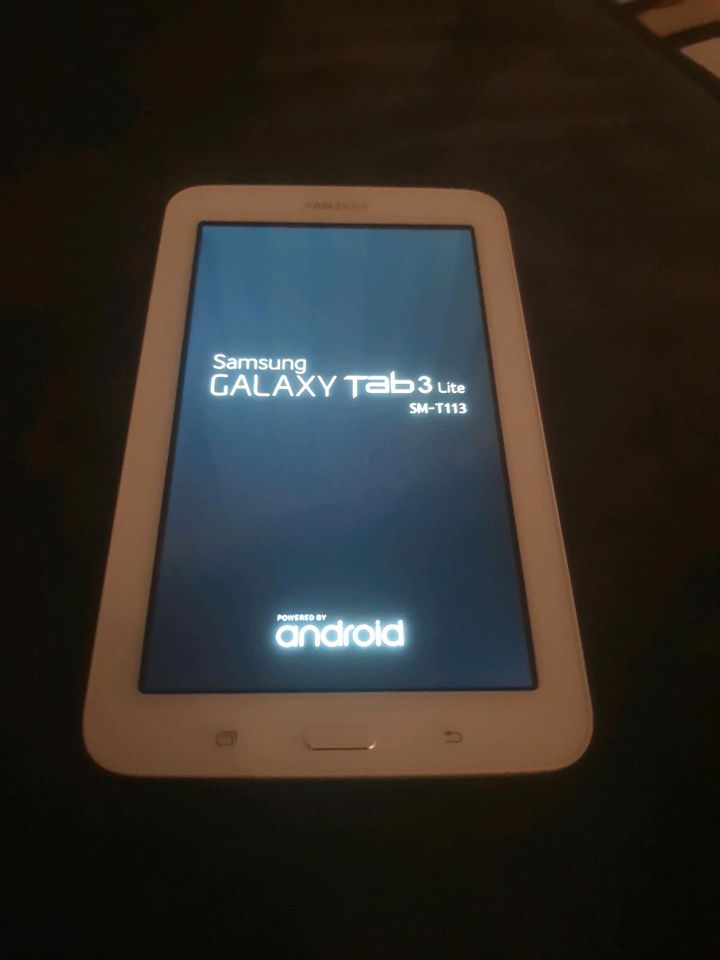 Samsung Tablet 3 lite in Kirchdorf a.d.Amper