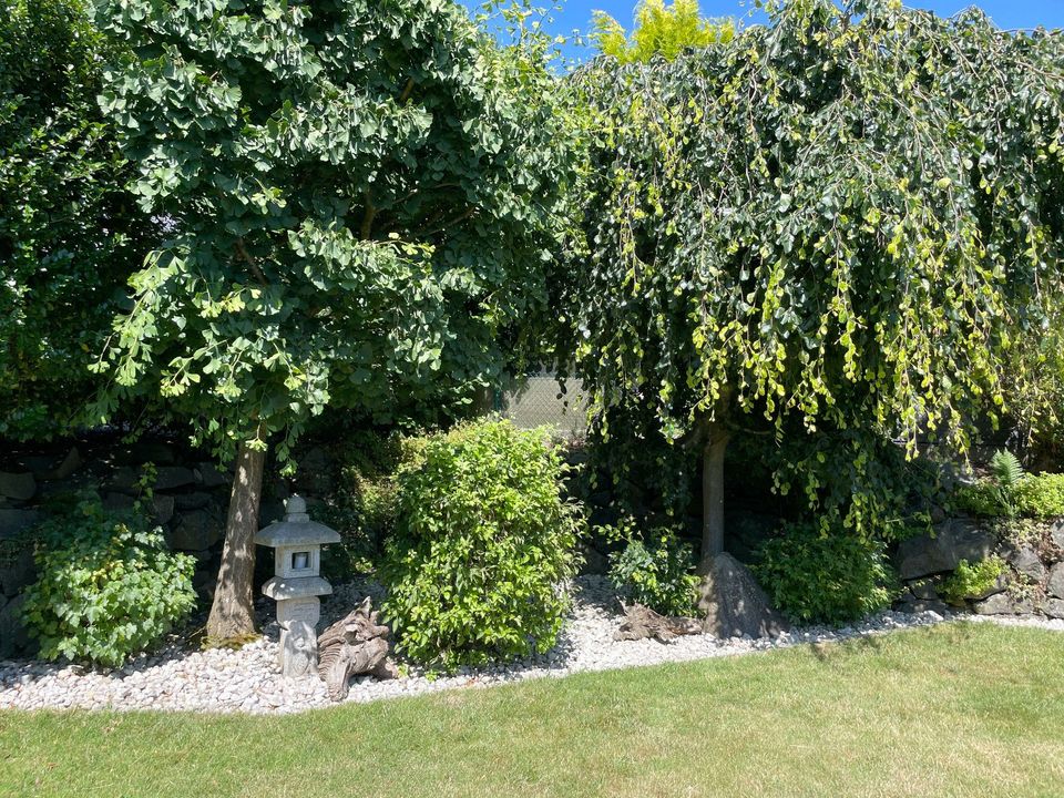 Stilvolles Einfamilienhaus mit architektonischer Finesse, wunderschönem Garten und Garage in ruhiger Ortsrandlage von Burscheid in Burscheid