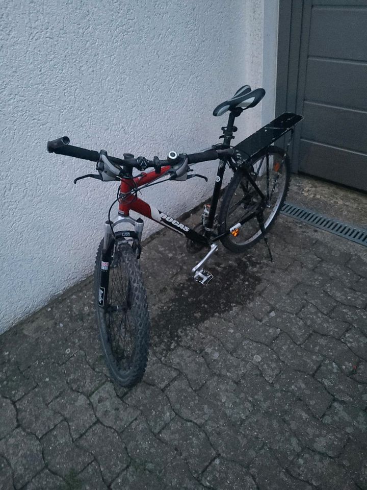 Bocas Herren Fahrrad in Kirchlengern