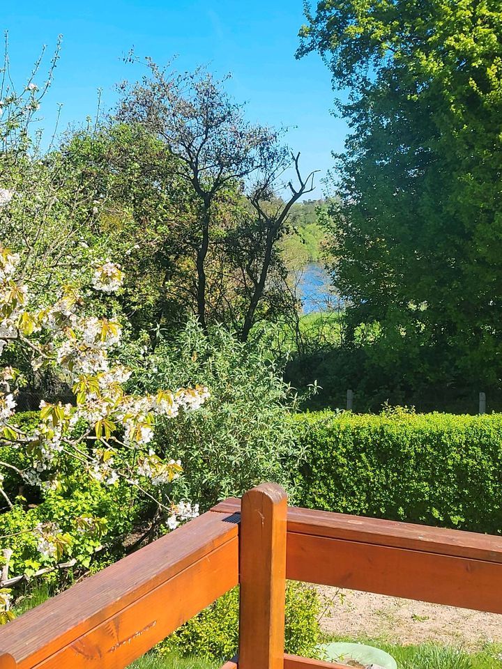 Kleingarten Neumühler Aussicht II in Schwerin Gartenstadt Ostorf