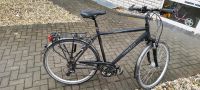 Herren-Trekkingrad 28" Nordrhein-Westfalen - Borchen Vorschau