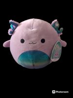 Squishmallow Monica Axolotl 8" Squishmallows Nordrhein-Westfalen - Remscheid Vorschau