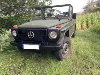 Mercedes 250 GD Lang Schleswig-Holstein - Handewitt Vorschau