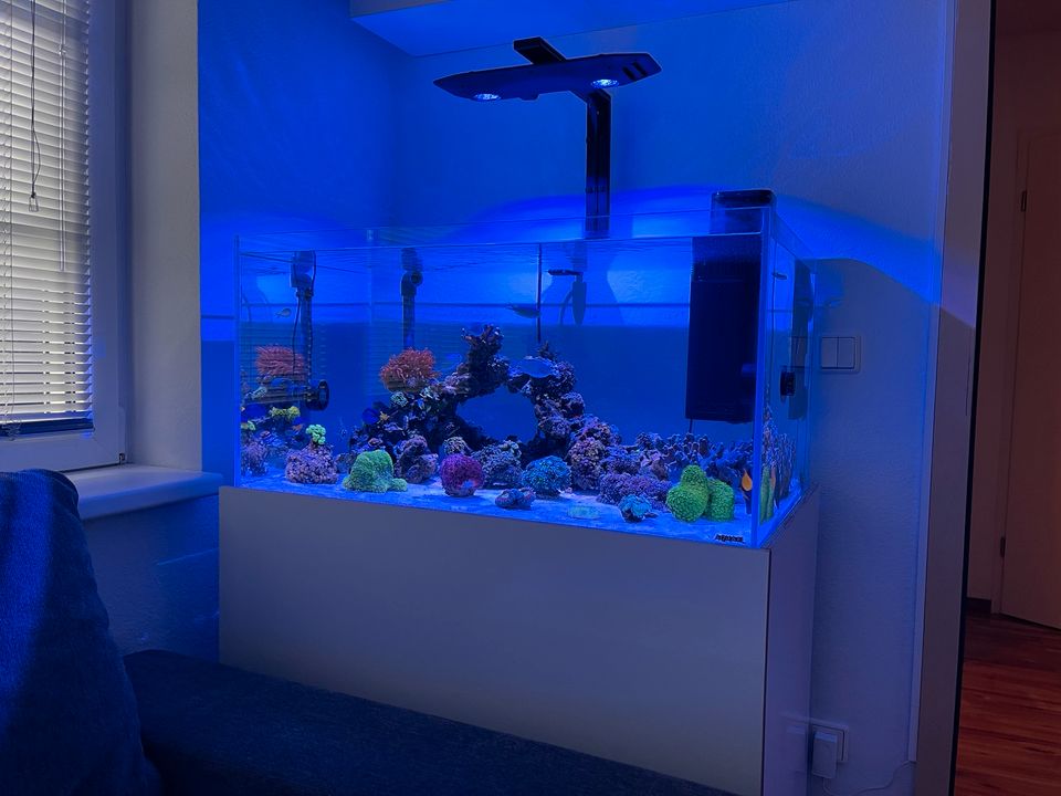 Weißglas Aquarium neuwertig mit Rechnung Feb.2024 in Berlin
