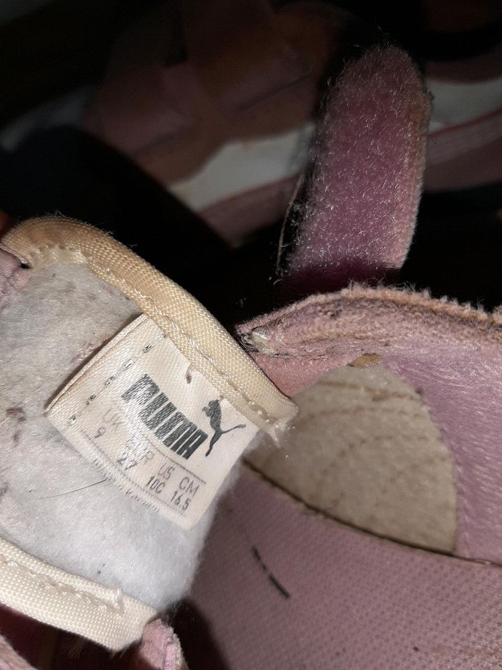 Mädchen Sneaker Turnschuh mit Klettverschluss Puma Größe 27 lila in Untermerzbach