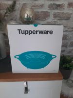 Tupperware Sieb Nordrhein-Westfalen - Burscheid Vorschau