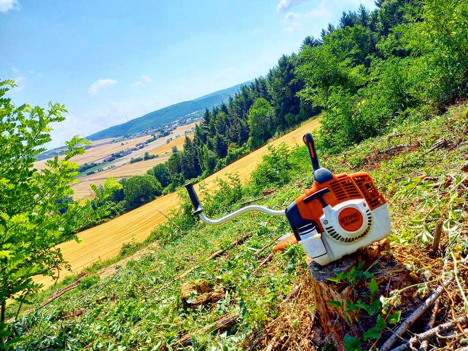 Wir Mähen Ihren Rasen Wiese Grünfläche Gartenhilfe Gartenservice in Wertheim