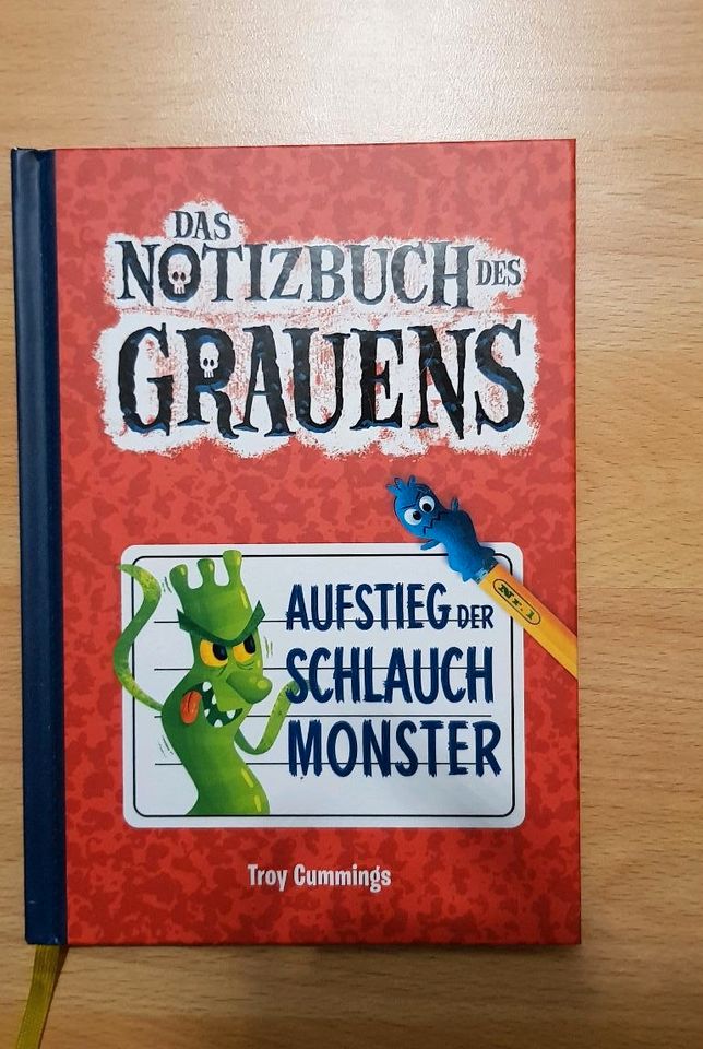 Kinderbücher magisches Baumhaus, Zeidetektive,  Pizzabande u.a. in Falkensee