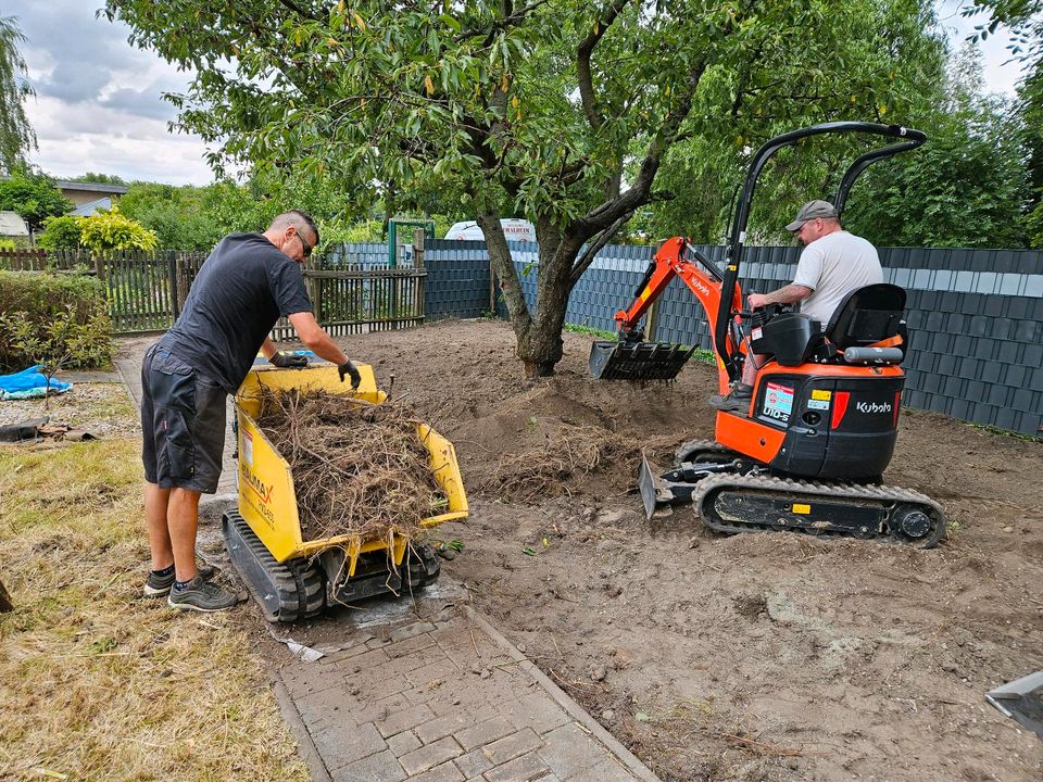 ✔✔ WIR SIEBEN IHREN BODEN / GARTEN ✔✔ in Leipzig