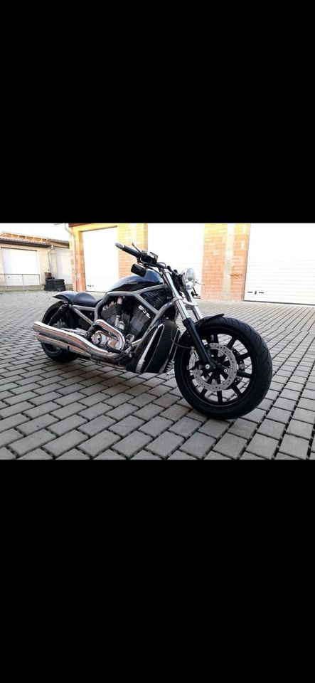 Harley Davidson V Rod in Gifhorn