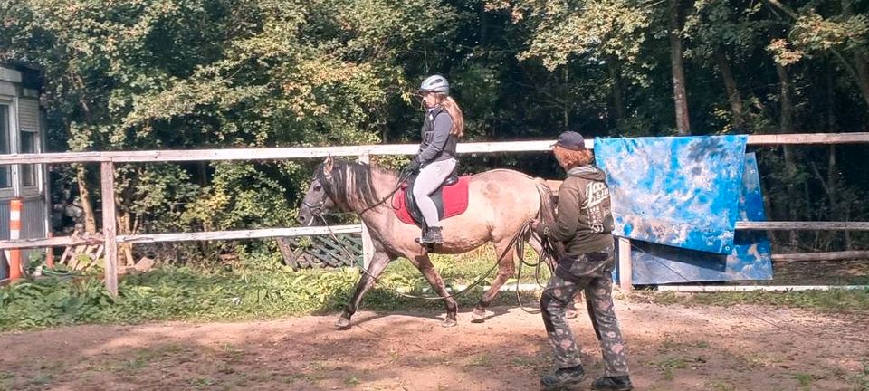 Mobiler Unterricht,Betritt und mehr... in Gemünden (Hunsrück)