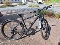 Scott Aspect 900 29'' MTB Fahrrad schwarz Nordrhein-Westfalen - Steinheim Vorschau