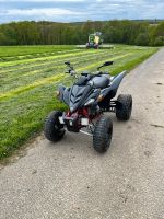 Yamaha YFM 350 Raptor Rheinland-Pfalz - Buchholz (Westerwald) Vorschau