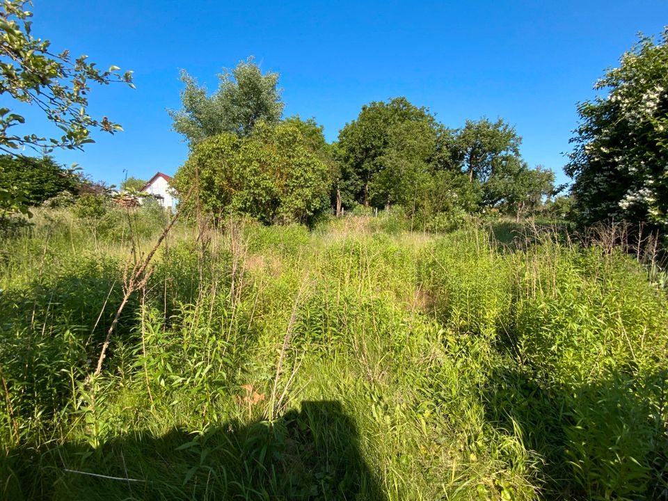 Viel Platz im neuen Eigenheim! in Hachelbich