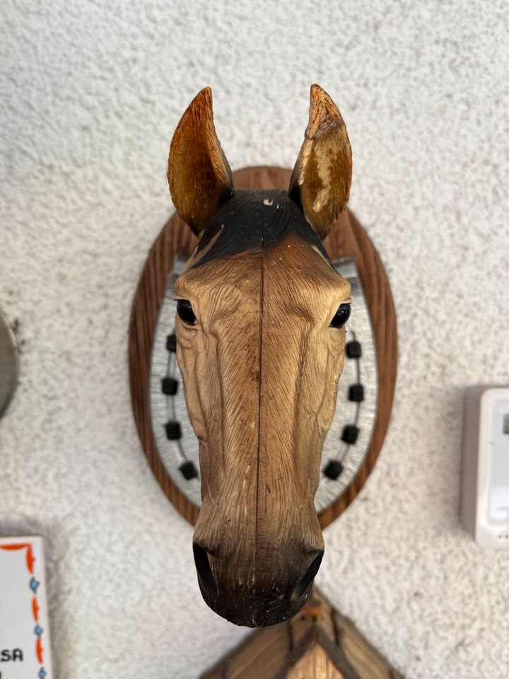Verkaufe  hier einen Kunststoff Pferde Kopf mit Hufeisen... in Rottenburg am Neckar