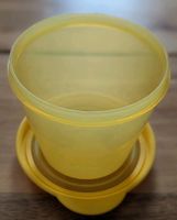 Tupperware Dose gelb mit Deckel (800ml) Dresden - Leuben Vorschau