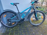 Cube Access 240 Alleoad grey'n'blue'n'pink 2019, 24 Zoll Hessen - Erlensee Vorschau