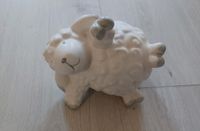 Schaf liegend Thüringen - Stadtilm Vorschau