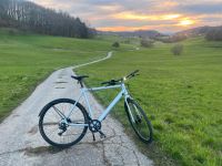 Insync Urban Pro E-Bike Herren Hessen - Heppenheim (Bergstraße) Vorschau