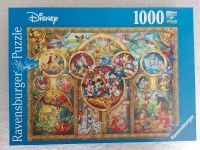 Disney und Harry Potter Puzzle 1000 Teile Sachsen-Anhalt - Dessau-Roßlau Vorschau