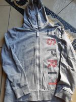 Mädchen Sweatjacke Esprit Gr. 152/158 Nordrhein-Westfalen - Herne Vorschau