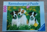 Ravensburger Puzzle 1000 Teile, Jack Russell Welpen Niedersachsen - Ganderkesee Vorschau